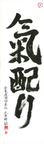kikubari kanji Saotome Shihan Aikido Boş Ayna