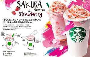 Starbucks Japonya'nın sakura temalı dönemsel içecekleri