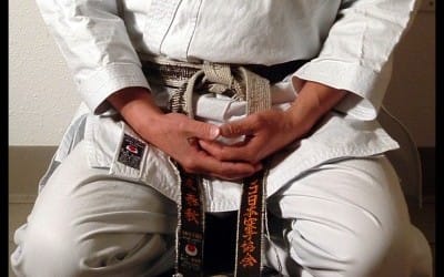 Fudoshin ve Zanshin Budo Aikido Boş Ayna